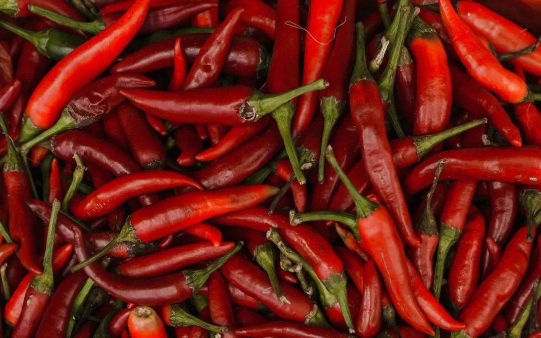 The Health Benefits of the amazing little capsicum – Cayenne Pepper
