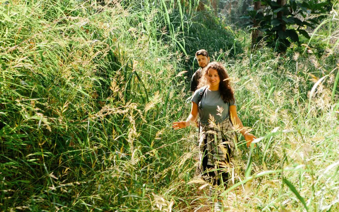 Nature, Friends and Family and No News: Your Stress-Busting Recipe