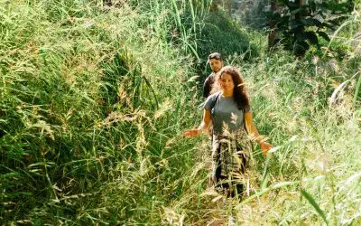 Nature, Friends and Family and No News: Your Stress-Busting Recipe