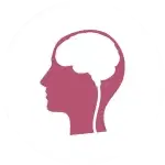 Brain