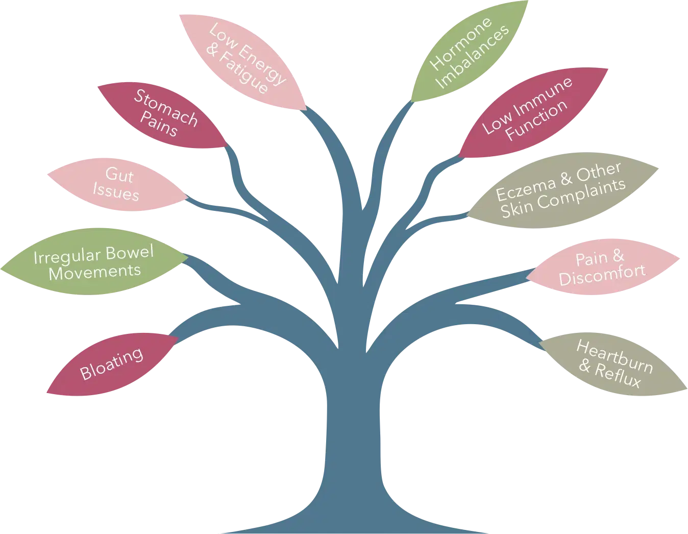 Flourish Natural Health Common Treatable Symptoms Tree Flourish Natural Health Common Treatable Symptoms Tree
