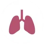 Lung