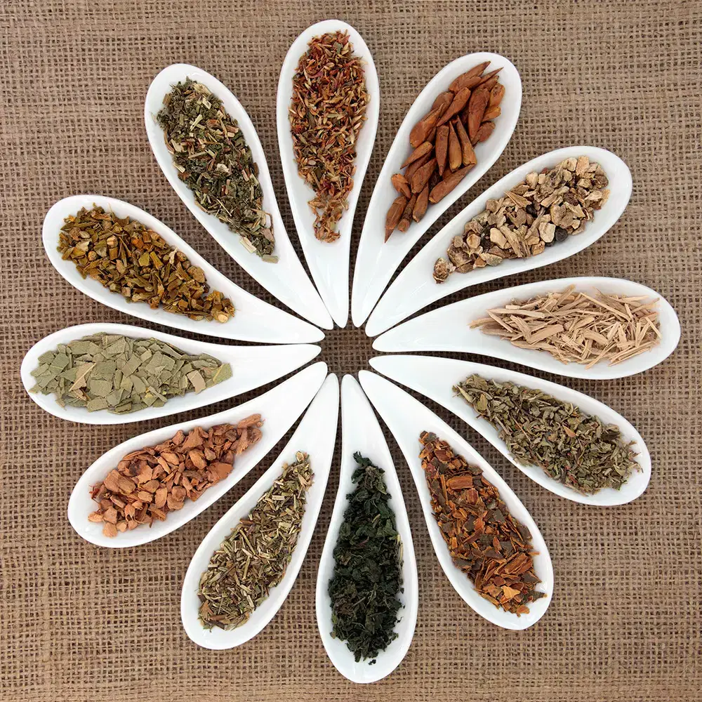 Natural Therapies Natural Therapies