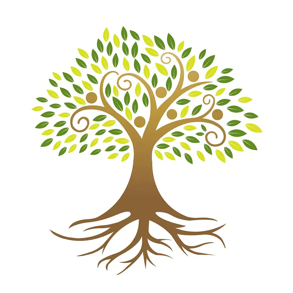 Root Cause Root Cause