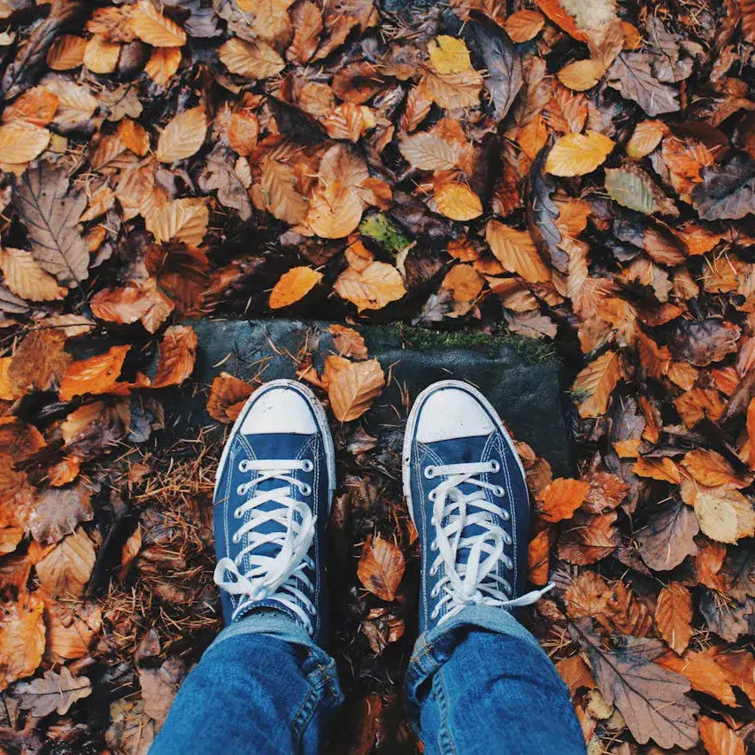 Get outside in Autumn and walk through crispy leaves